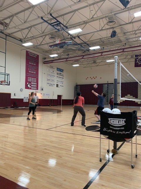Wolves Staff vs staff VB Game